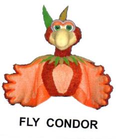 FLY CONDOR