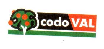 CODO VAL