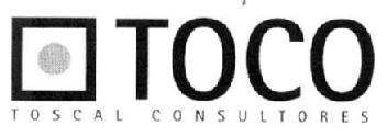 TOCO TOSCAL CONSULTORES