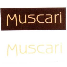 MUSCARI