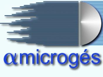 MICROGES