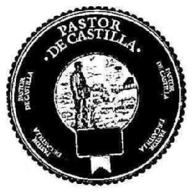 PASTOR DE CASTILLA