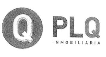 Q PLQ INMOBILIARIA