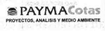 PAYMA COTAS PROYECTOS, ANALISIS Y MEDIO AMBIENTE