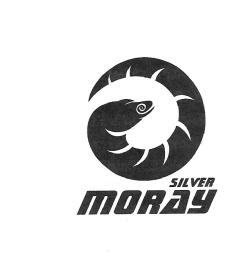 SILVER MORAY
