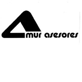 MUR ASESORES