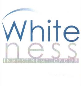 WHITE NESS INVESTMENT GROUP