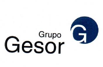 GRUPO GESOR G