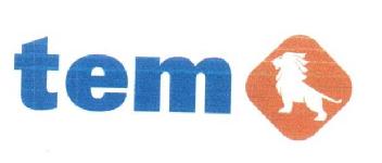 TEM