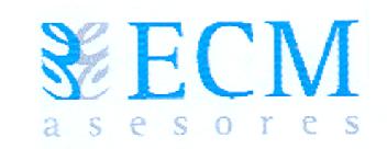 ECM ASESORES