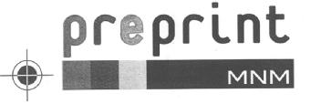 PREPRINT MNM