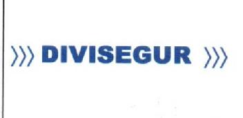 DIVISEGUR