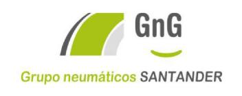 GNG GRUPO NEUMATICOS SANTANDER