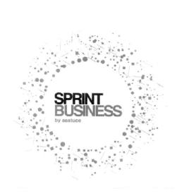SPRINT BUSINESS BY AASTUCE