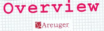 OVERVIEW AREUGER CONSULTING