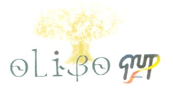 OLIBO GRUP