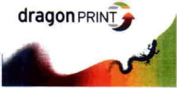 DRAGON PRINT