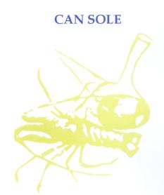 CAN SOLE