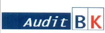 AUDIT BK