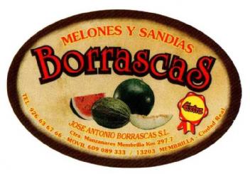 MELONES Y SANDIAS BORRASCAS