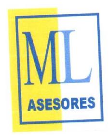 ML ASESORES