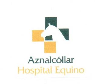 AZNALCOLLAR HOSPITAL EQUINO