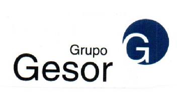 GRUPO GESOR G