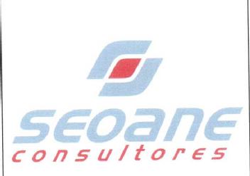 SEOANE CONSULTORES