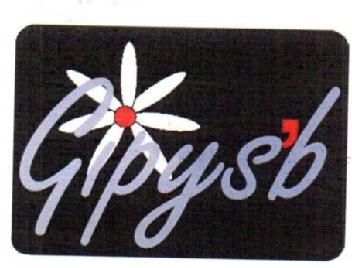 GIPYSB
