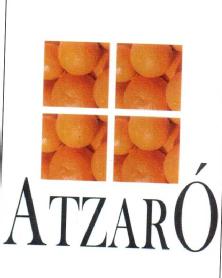 ATZARO