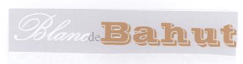 BLANC DE BAHUT BDEB