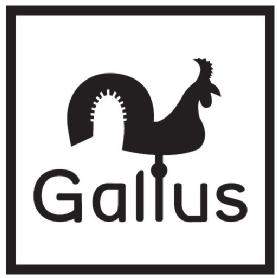 GALLUS