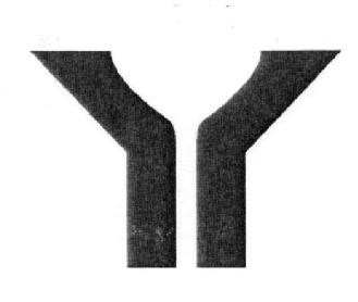 Y