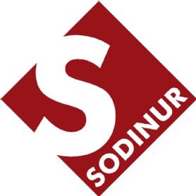 S SODINUR