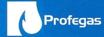 PROFEGAS
