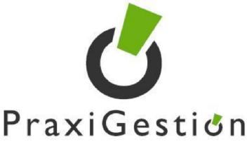 PRAXI GESTION