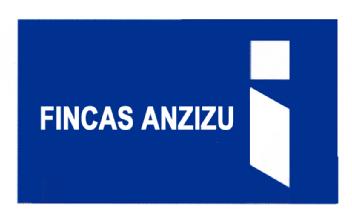 FINCAS ANZIZU