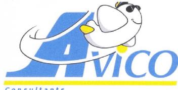 AVICO CONSULTANTS