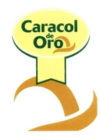 CARACOL DE ORO