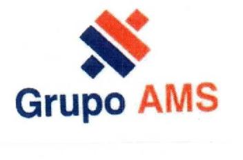 GRUPO AMS