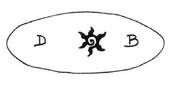 D B