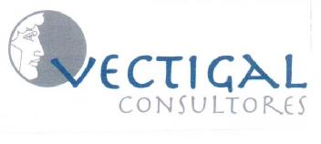 VECTIGAL CONSULTORES