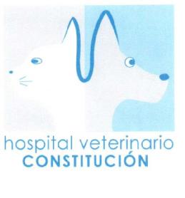 HOSPITAL VETERINARIO CONSTITUCION