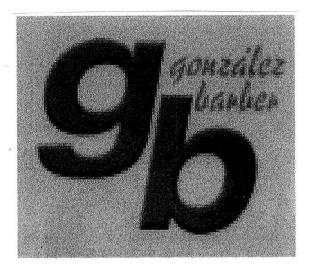 GB GONZALEZ BARBER