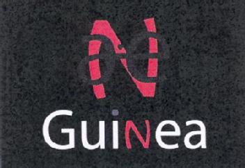 N GUINEA