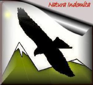 NATURA INDOMITA