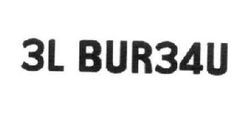 3L BUR34U