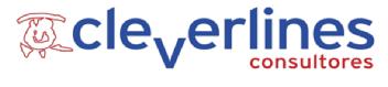 CLEVERLINES CONSULTORES