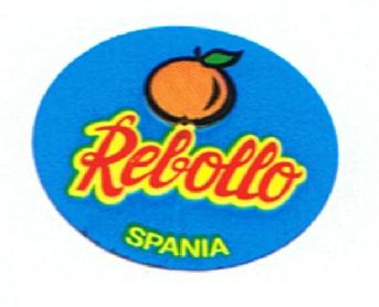 REBOLLO SPANIA