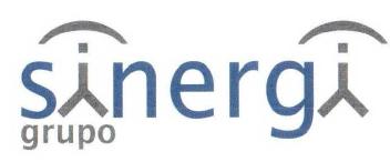 SINERGI GRUPO